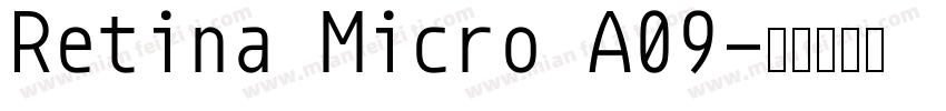 Retina Micro A09字体转换